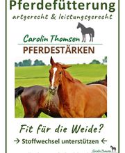 Carolin Thomsen Pferdestärken Bild 2