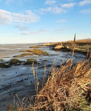 Weinstock´s Fewo-Service Bild 4