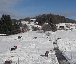 Ranch du p'tit bonheur Bild 5