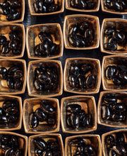 Kado no Mise image 3