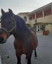 Maison à vivre Les Jardins Du Cigaloun image 8