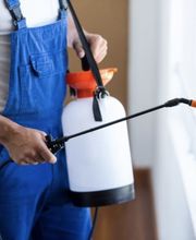 Nitro Pest Solutions, LLC image 15