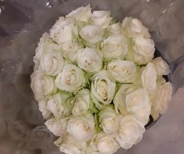 Audrey Fleurs image 16