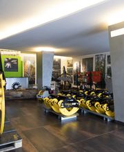 Gallery Professionale