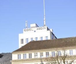RE/MAX Immobilien in Biel Bild 9