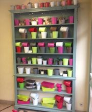 Pinot Fleurs EURL image 4