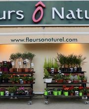 Fleurs Ô Naturel image 5