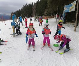 Skischule Predigtstuhl Bild 8