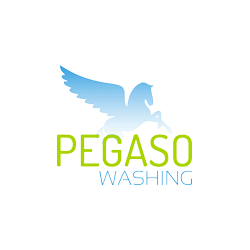 Pegaso Washing Autolavaggio a Domicilio logo