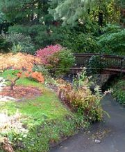 A DOMICILE SERVICES 13 image 4