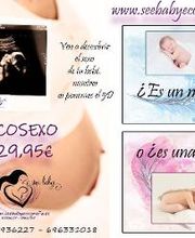 See Baby Ecografía Emocional imagen 2