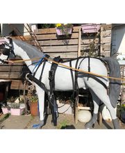 Der kleine Pferdeladen Bild 4