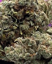 Green Paradise CBD shop & livraison image 2