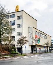 Naturhistorisches Museum Bern Bild 7