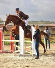 Ecuries Lalye GUILLAUMEE CHANTAL image 15