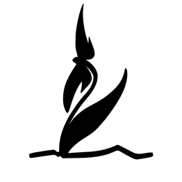 Blumen Kaimer
