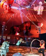 Esprit De Cirque image 18
