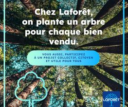 Laforêt GAILLAC image 5