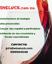 232254540-1-0V1yWN19lC1697467081367.png