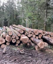 Exploitation Forestière Chanal Eric EFCE image 3