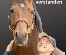 KUTTING.NET Online Bild 3
