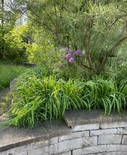 Naturgarten Werk Marc Styger Bild 4