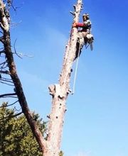 Bouillard Pascal image 2