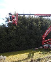 A.David Paysages Sàrl Bild 10