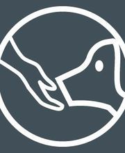 Education Canine Matthieu Gavardin image 1