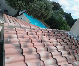 Presencia Couverture image 11