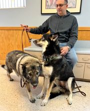 Ormond Beach Family Vet image 4