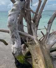 Smiley Location image 7