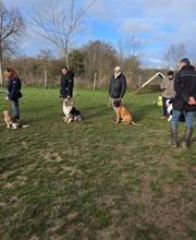 Agil'Canin 36 image 1