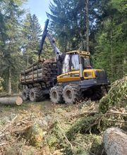 Holz Nigl Bild 5