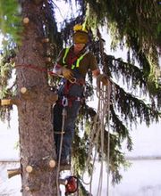 De Martin De Vivies Bruno image 2