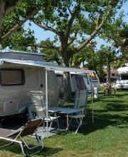 camping-las-palmeras-pitch-04.jpg