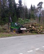 Scheidegger Forstunternehmung GmbH Bild 2