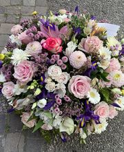 Le Tournesol image 3