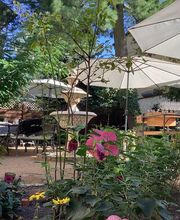 Restaurant Patta in Friedrichshagen, Blick in den Garten. Wir befinden uns ganz in der Nähe vom S-Bahnhof Friedrichshagen.