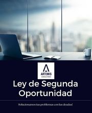 Artemis Consultores imagen 2