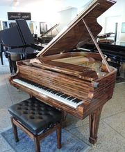 auch in Palisander ein Steinway & Sons Schmuckstück