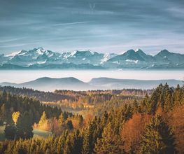 Dirk Doebele Fotografie Bild 12