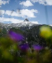 Bergwelt Engstligenalp