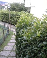 DAVIDEgiardini Bild 5