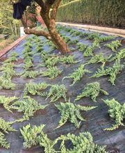 Biava Mattia - Giardiniere paesaggista Bild 2