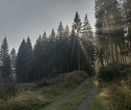 fotografie.erz Bild 8