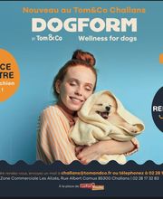 Tom&Co Challans image 1