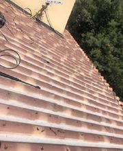 Lenoir Steeve image 11