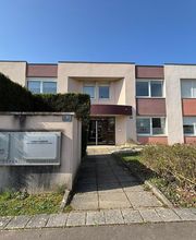 Sadec Akelys - Dijon image 2