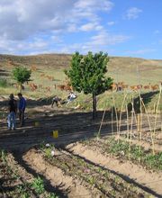 MI HUERTO EN TRES CANTOS 224763417_0001_20170523(1).jpg